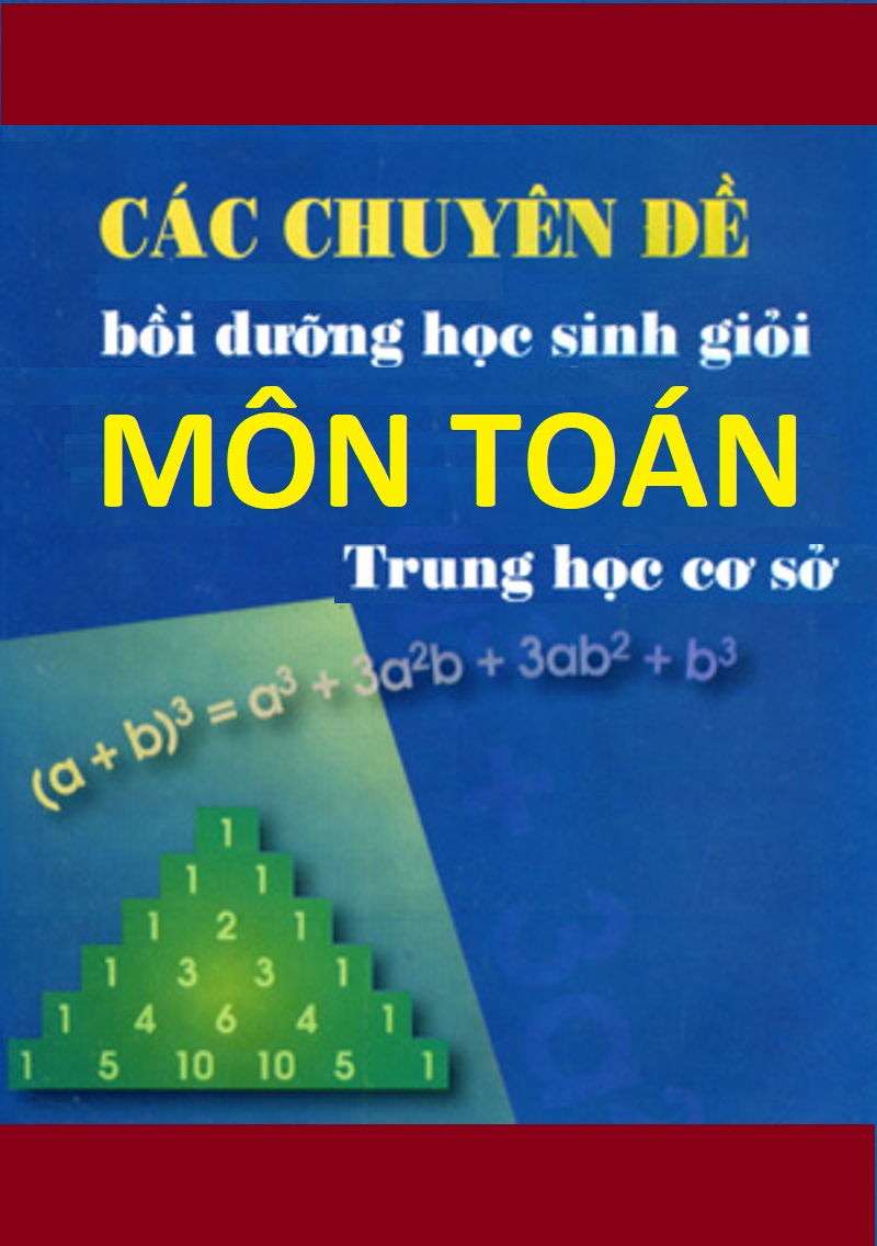 Các Chuyên Đề Bồi Dưỡng Hsg Môn Toán THCS