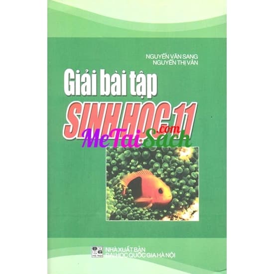 Giải Bài Tập Sinh Học 11